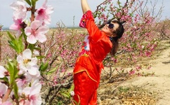 缘分五月在线影视社区